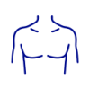 Thorax / Chest